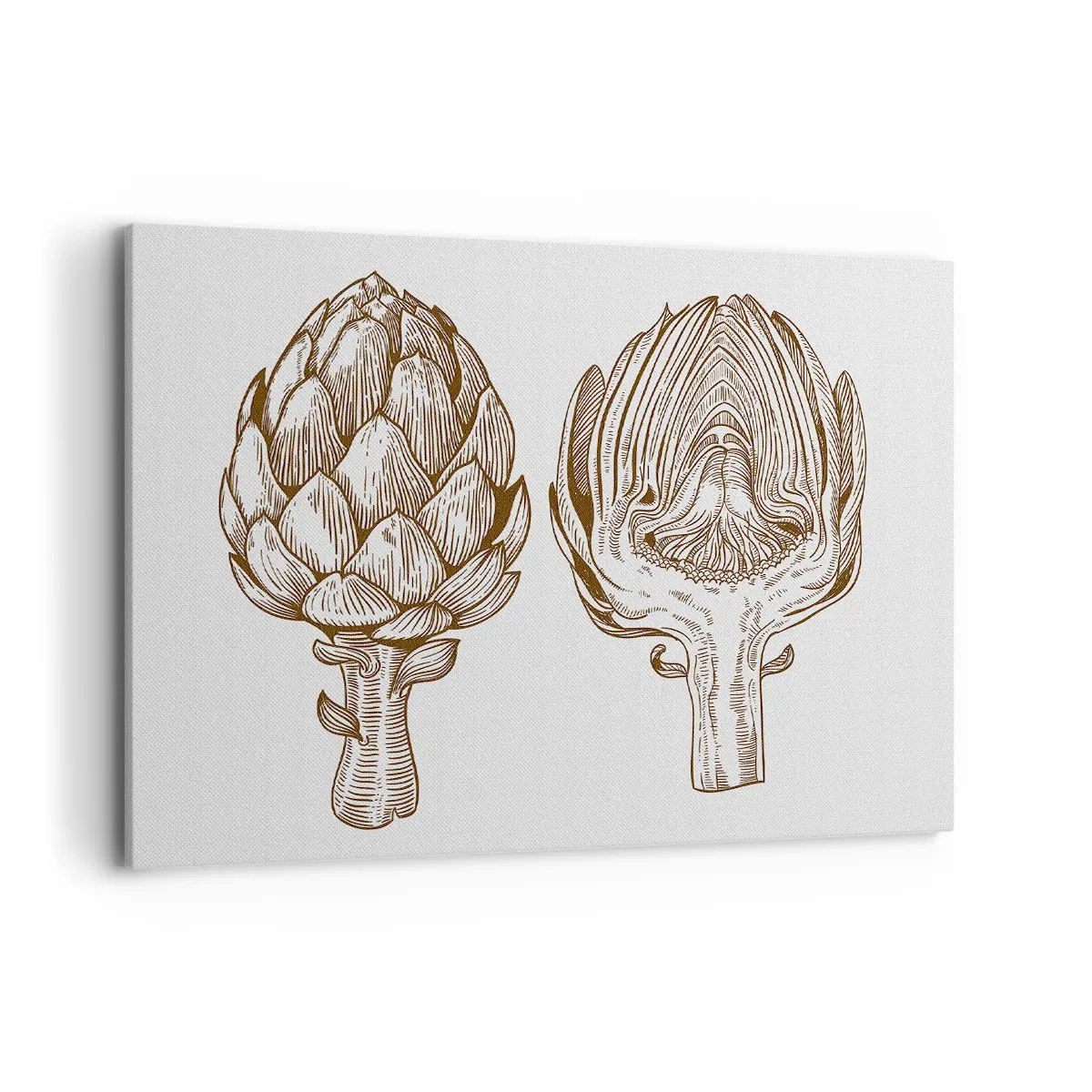 Quadro su tela - Stampe su Tela - Disegno d'arte d'epoca di un carciofo - 100x70cm - Lezione di anatomia - Decorazione murale moderna per soggiorno e camera da letto ARTTOR