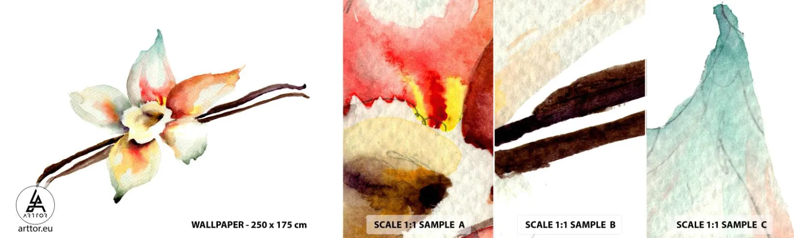 Campione di Fotomurale Adesivo Deluxe Sticker - Dolcezza versata con la vernice - Fiore di vaniglia, Fiore, Bastoncino di vaniglia - 100x30 cm