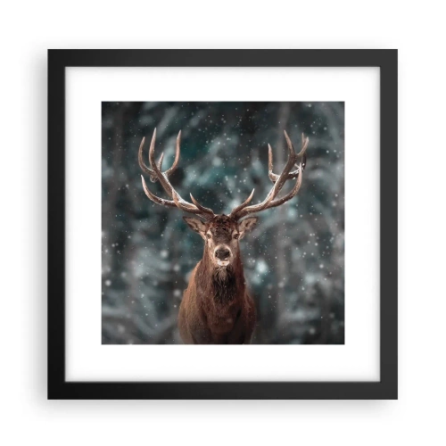 Poster in cornice nera - Il re del bosco incoronato - 30x30 cm