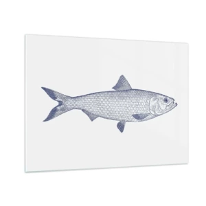 Quadro su vetro - Schizzo di pesce in stile vintage su sfondo chiaro - 70x50cm - Un saluto dai mari del nord - Decorazione murale moderna per soggiorno e camera da letto ARTTOR