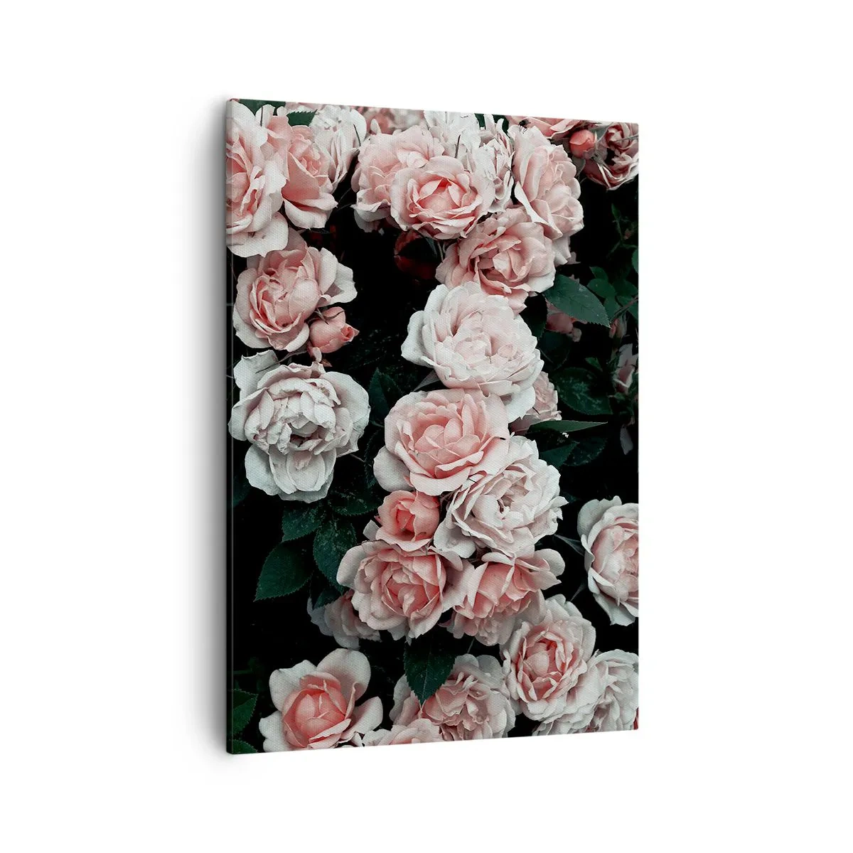 Quadro su tela - Stampe su Tela - Rose rosa su sfondo scuro in una composizione delicata - 50x70cm - Composizione di rose - Decorazione murale moderna per soggiorno e camera da letto ARTTOR