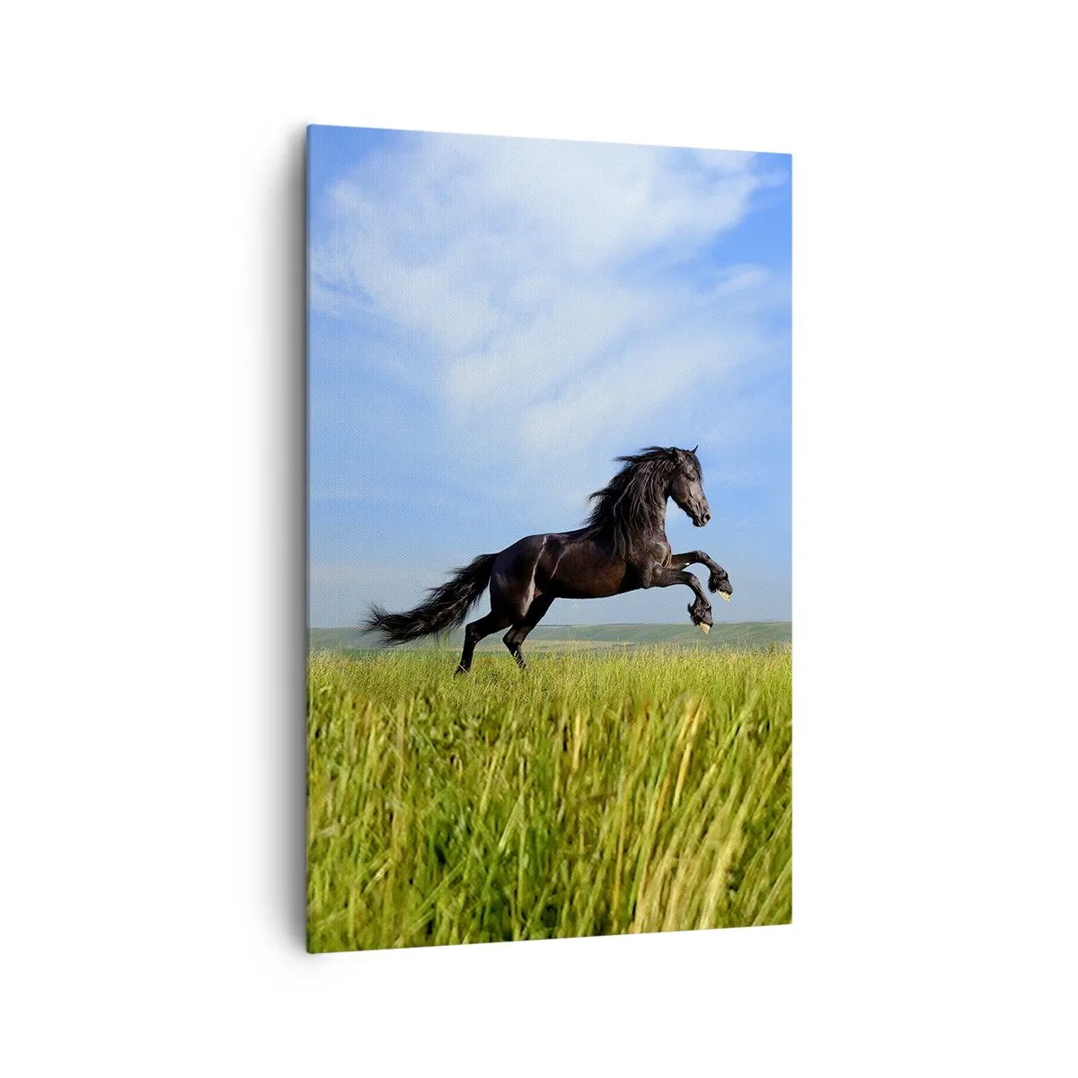 Quadro su tela - Stampe su Tela - Un cavallo nero che corre contro un cielo azzurro e un prato verde - 80x120cm - Coinvolgente manifesto di libertà - Decorazione murale moderna per soggiorno e camera da letto ARTTOR