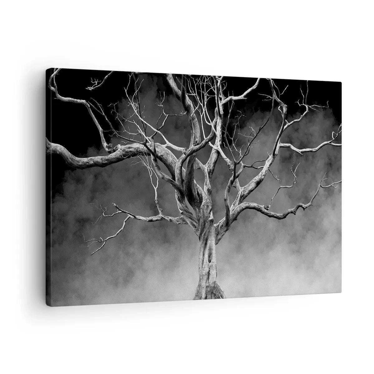 Quadro su tela - Stampe su Tela - Un albero secco in bianco e nero contro la nebbia - 70x50cm - Primordiale e sacro - Decorazione murale moderna per soggiorno e camera da letto ARTTOR