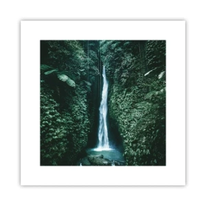 Poster - Terme tropicali - 30x30 cm