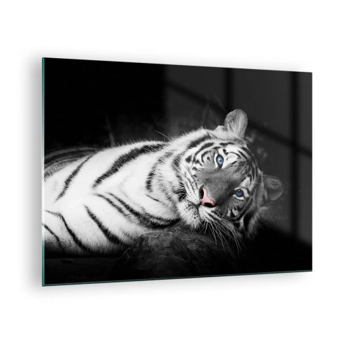 Quadro su vetro - Una tigre bianca con gli occhi azzurri in un ambiente bianco e nero - 70x50cm - Selvaggità e pace - Decorazione murale moderna per soggiorno e camera da letto ARTTOR