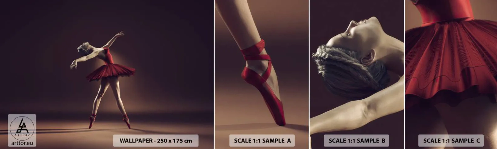 Campione Di Fotomurale Standard Eco - Prima ballerina - Ballerina, Danza, Balletto - 100x30 cm