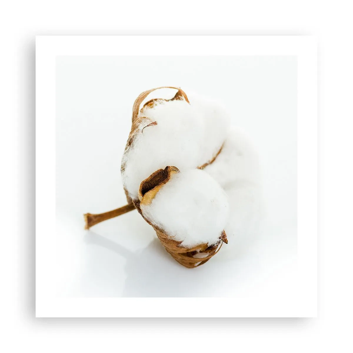 Poster - Naturalmente morbido - 50x50 cm