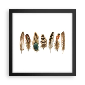 Poster in cornice nera - Composizione di piume - 30x30 cm