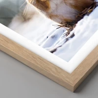 Rovere chiaro