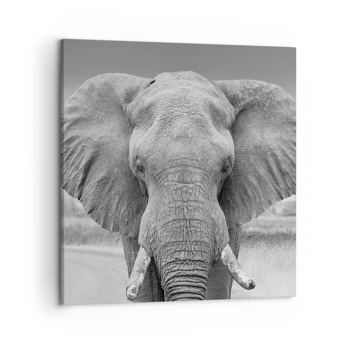 Quadro su tela - Stampe su Tela - Benvenuti nel mio mondo - 50x50 cm