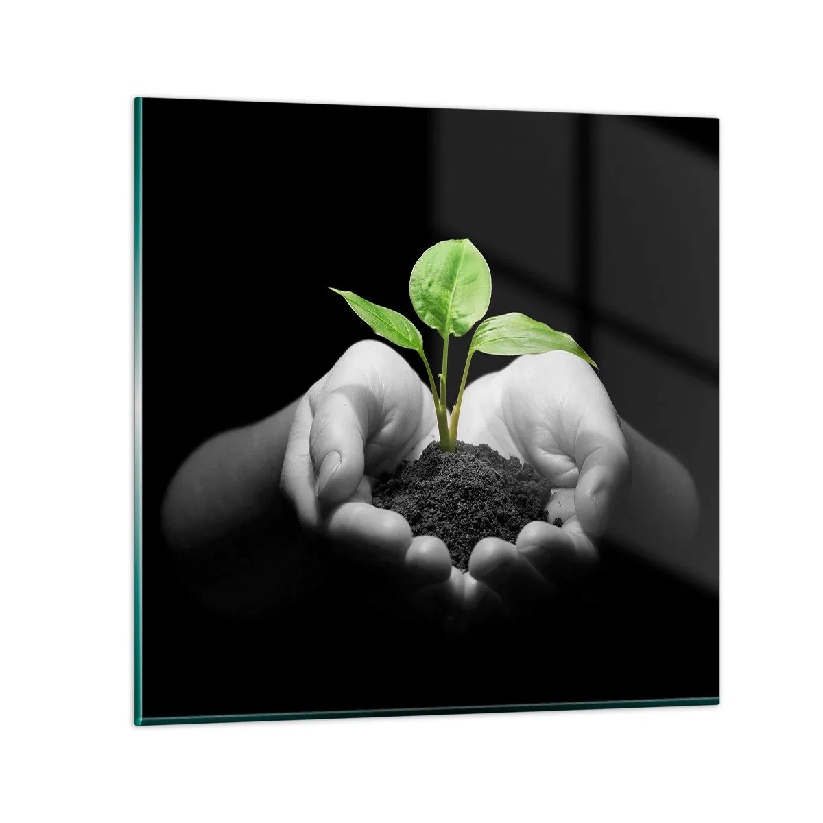 Quadro su vetro - Amo la natura, la proteggo - 70x70 cm