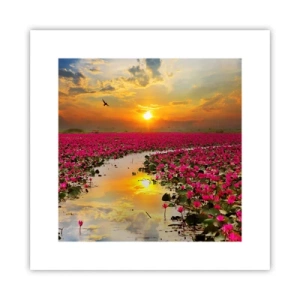Poster - La vita segreta del lago - 30x30 cm