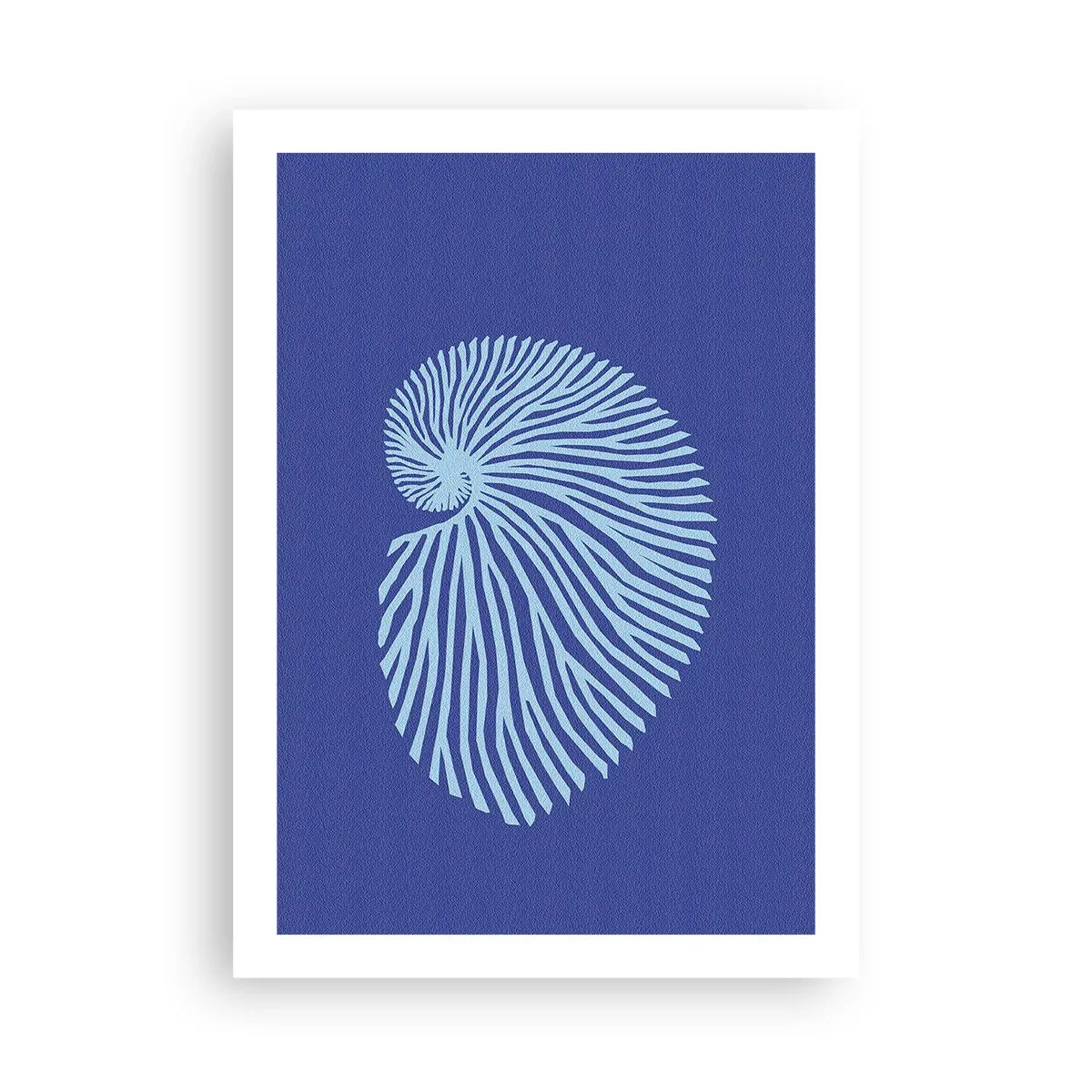 Poster - Grafica stilizzata di conchiglie disposte a spirale - 50x70cm - La nascita della conchiglia - Decorazione murale moderna per soggiorno e camera da letto ARTTOR