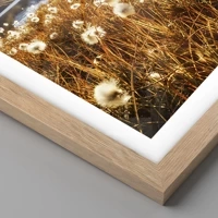 Rovere chiaro