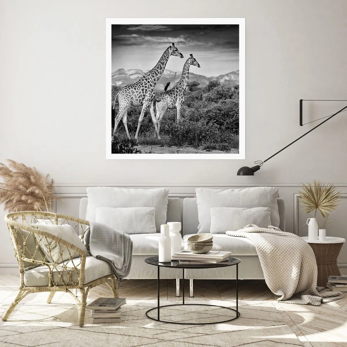 Poster - Alta classe in Africa - 60x60 cm