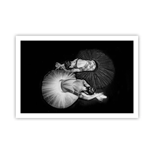 Poster - Yin e yang -  equilibrio ideale - 91x61 cm