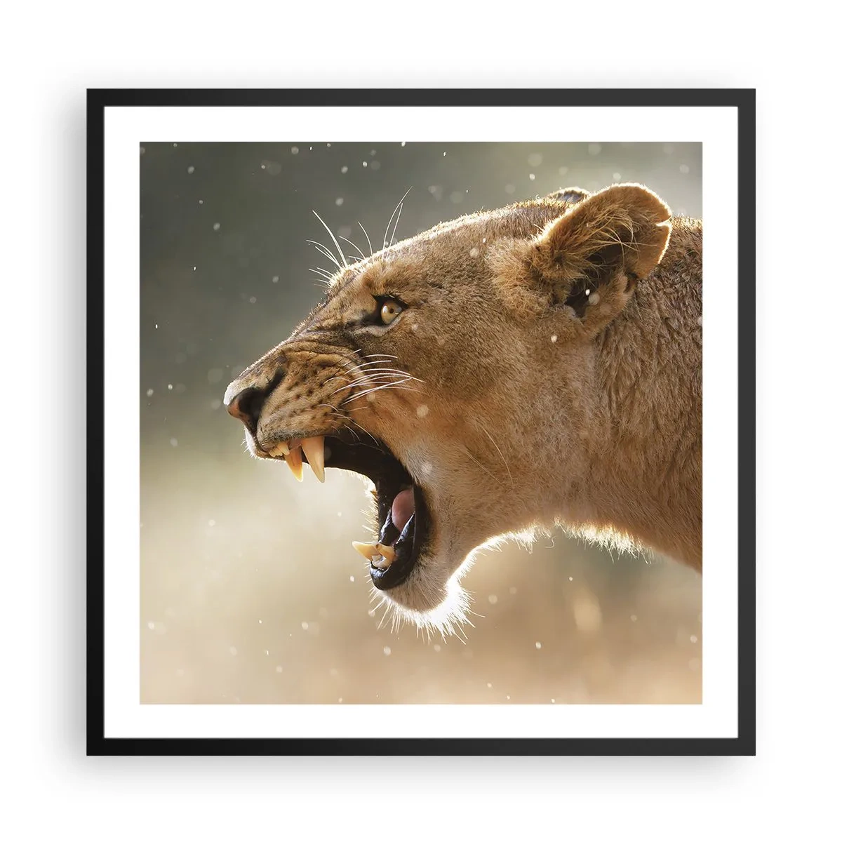 Poster in cornice nera - Prova a non ascoltare - 60x60 cm