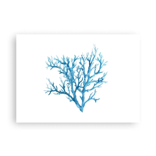 Poster - Filigrana marina - 70x50 cm