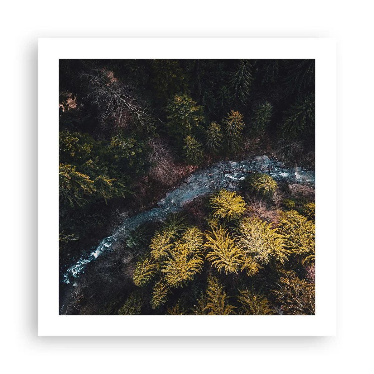 Poster - Sempre più veloce - 50x50 cm