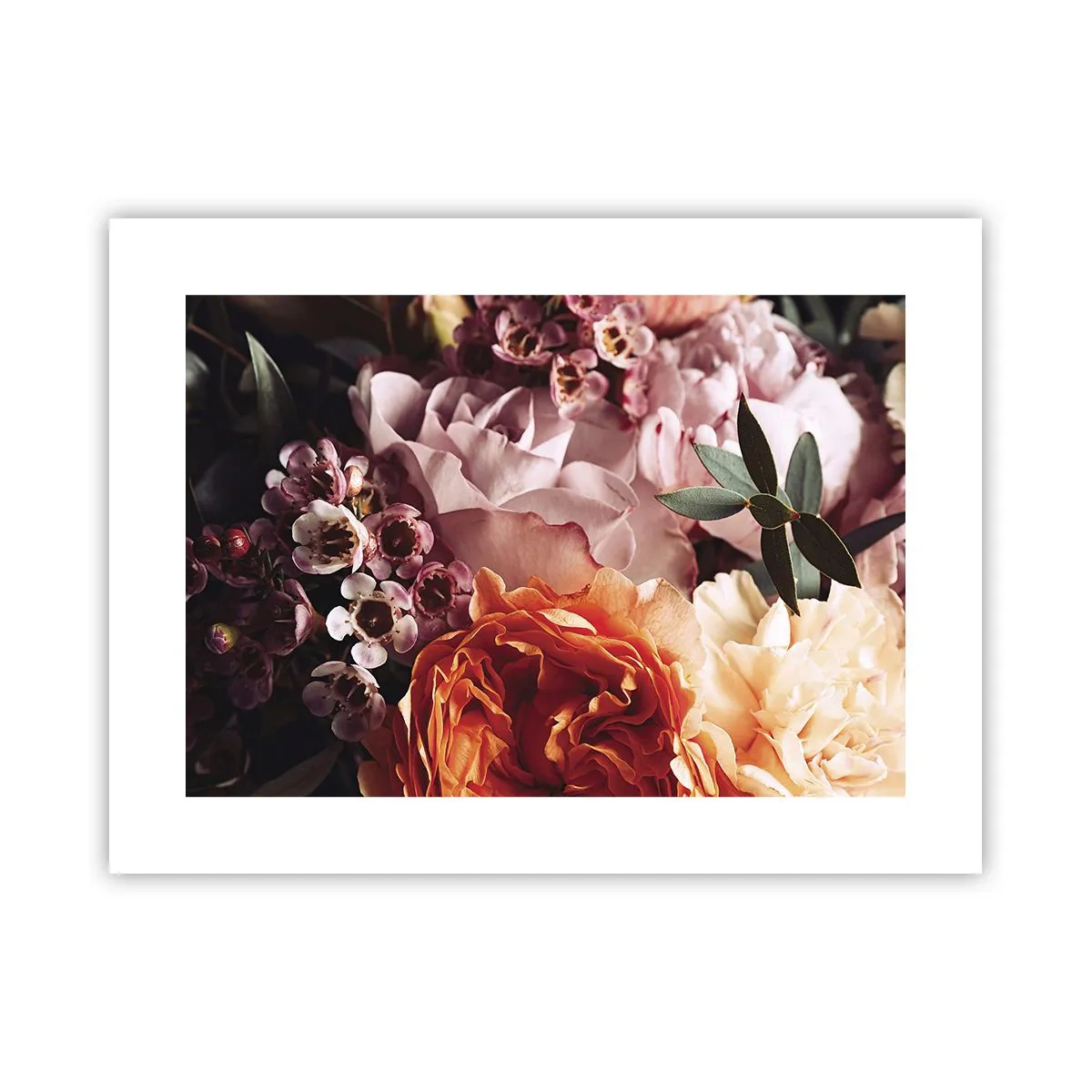 Poster - Avvolti dalla bellezza - 40x30 cm
