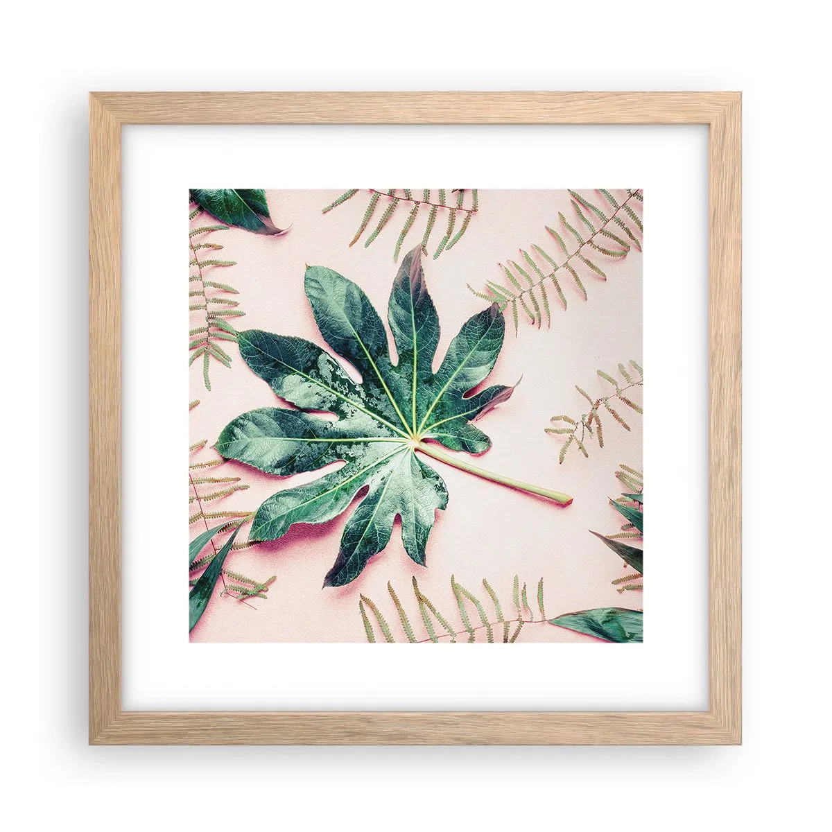Poster in cornice rovere chiaro - Studio di verde su sfondo rosa - 30x30 cm
