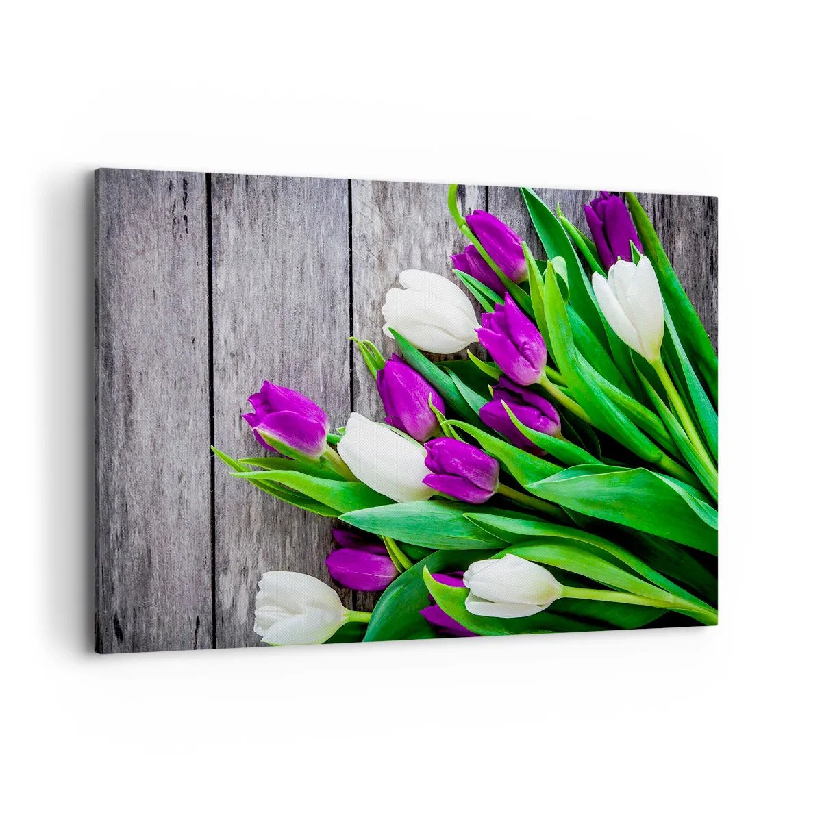 Quadro su tela - Stampe su Tela - Un bouquet di tulipani viola e bianchi su uno sfondo di legno - 120x80cm - Nella festa della primavera - Decorazione murale moderna per soggiorno e camera da letto ARTTOR