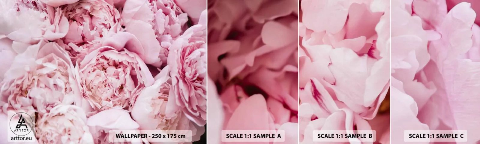 Campione di Fotomurale Adesivo Deluxe Sticker - Morbide e profumate - Peonia, Fiori, Mazzo di fiori - 100x30 cm