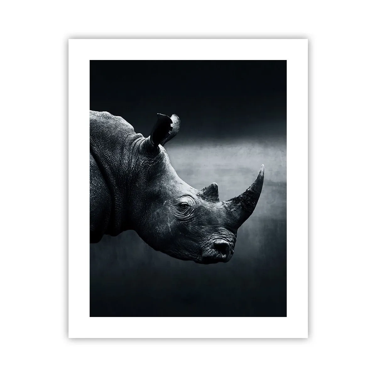 Poster - Profilo destro - 40x50 cm