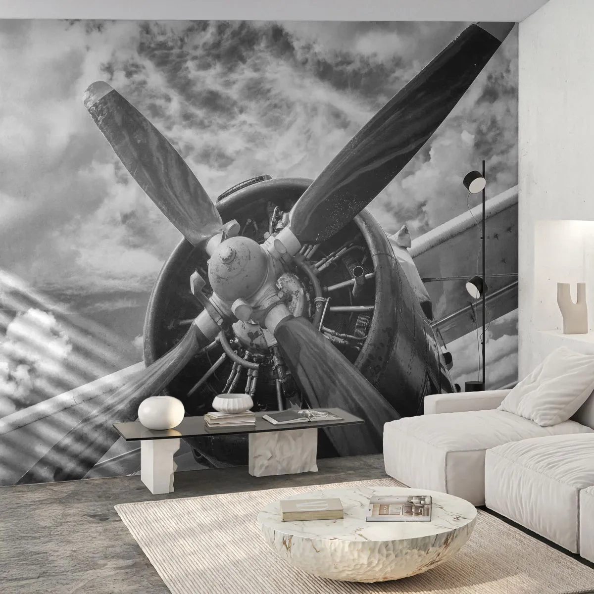 Fotomurali Autoadesivo Deluxe Sticker - Il dominatore dell'aria - Aereo, Elica dell'aereo, Vintage ▾ - 100x70 cm