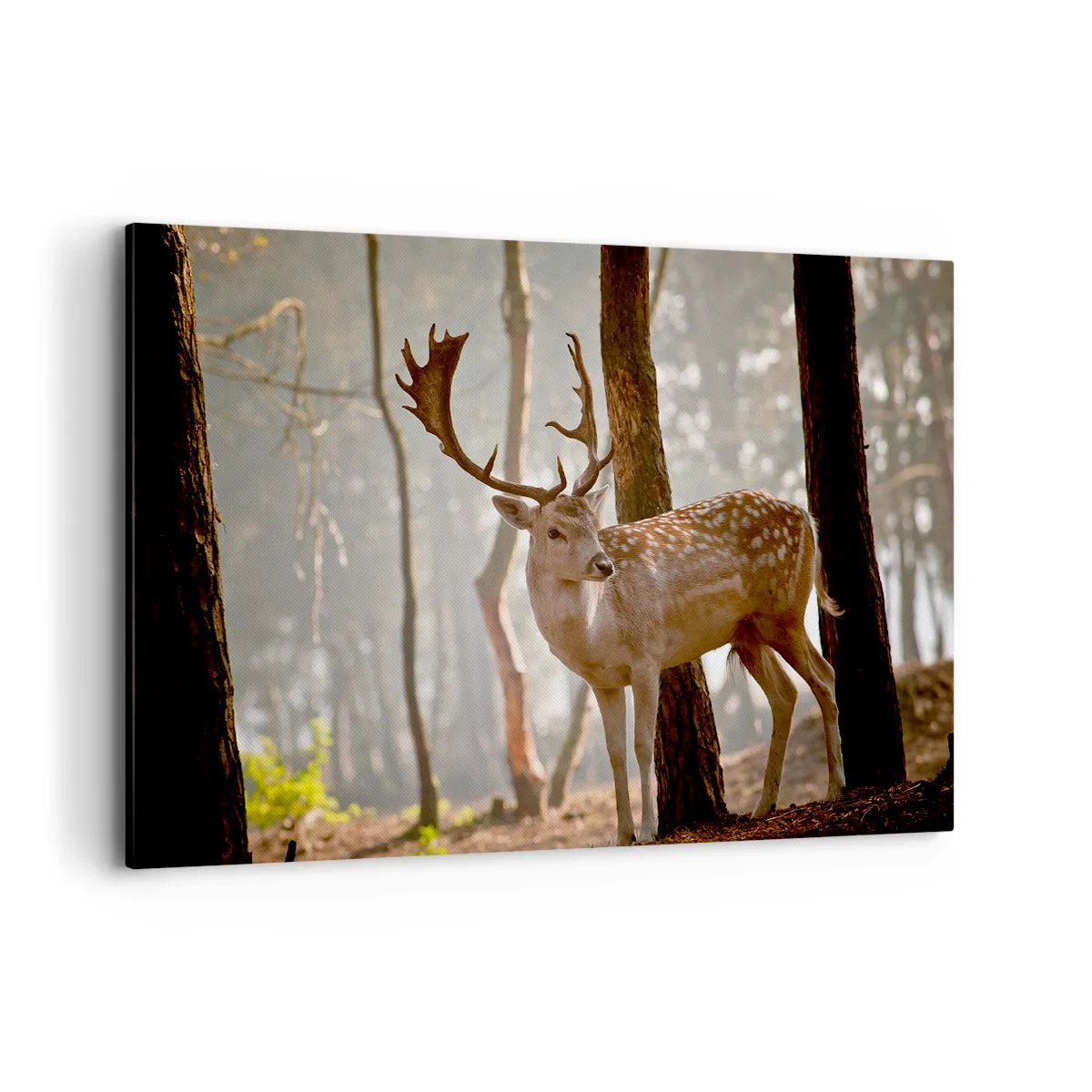 Quadro su tela - Stampe su Tela - Cervi nella foresta nella nebbia mattutina - 120x80cm - La luce della giovinezza - Decorazione murale moderna per soggiorno e camera da letto ARTTOR