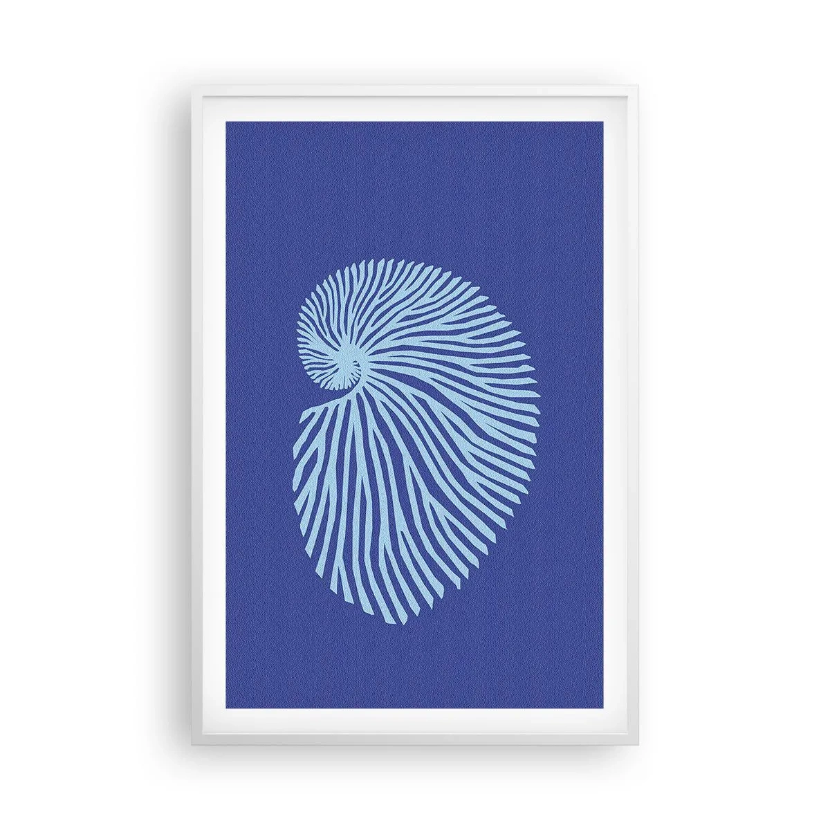 Poster in cornice bianca - La nascita della conchiglia - 61x91 cm