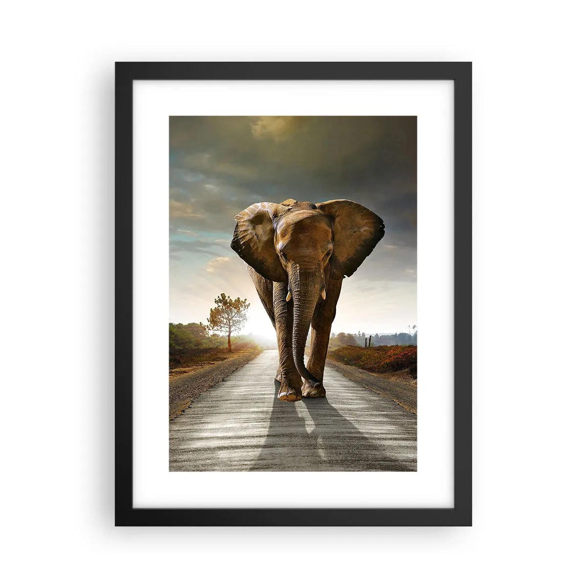 Poster in cornice nera - E non nel negozio di cristalli - 30x40 cm