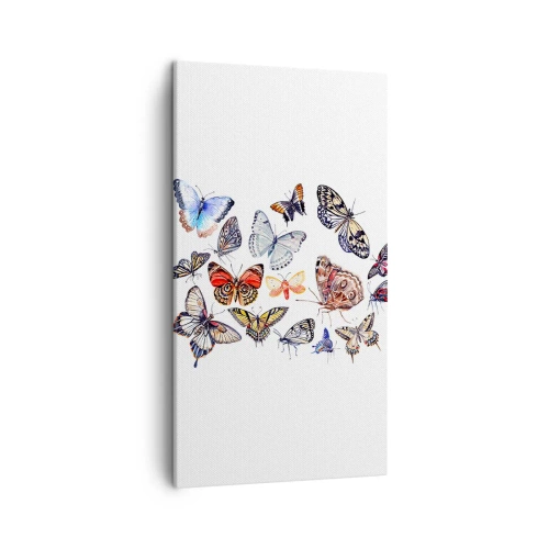 Quadro su tela - Stampe su Tela - Sciame delicato e colorato - 45x80 cm