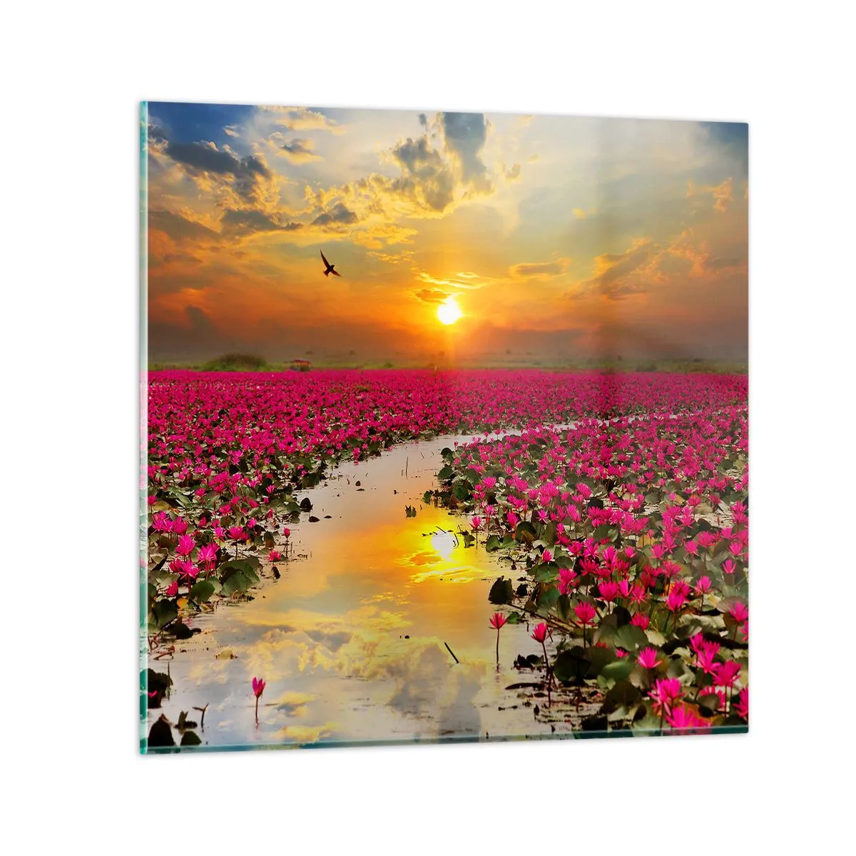 Quadro su vetro - La vita segreta del lago - 70x70 cm