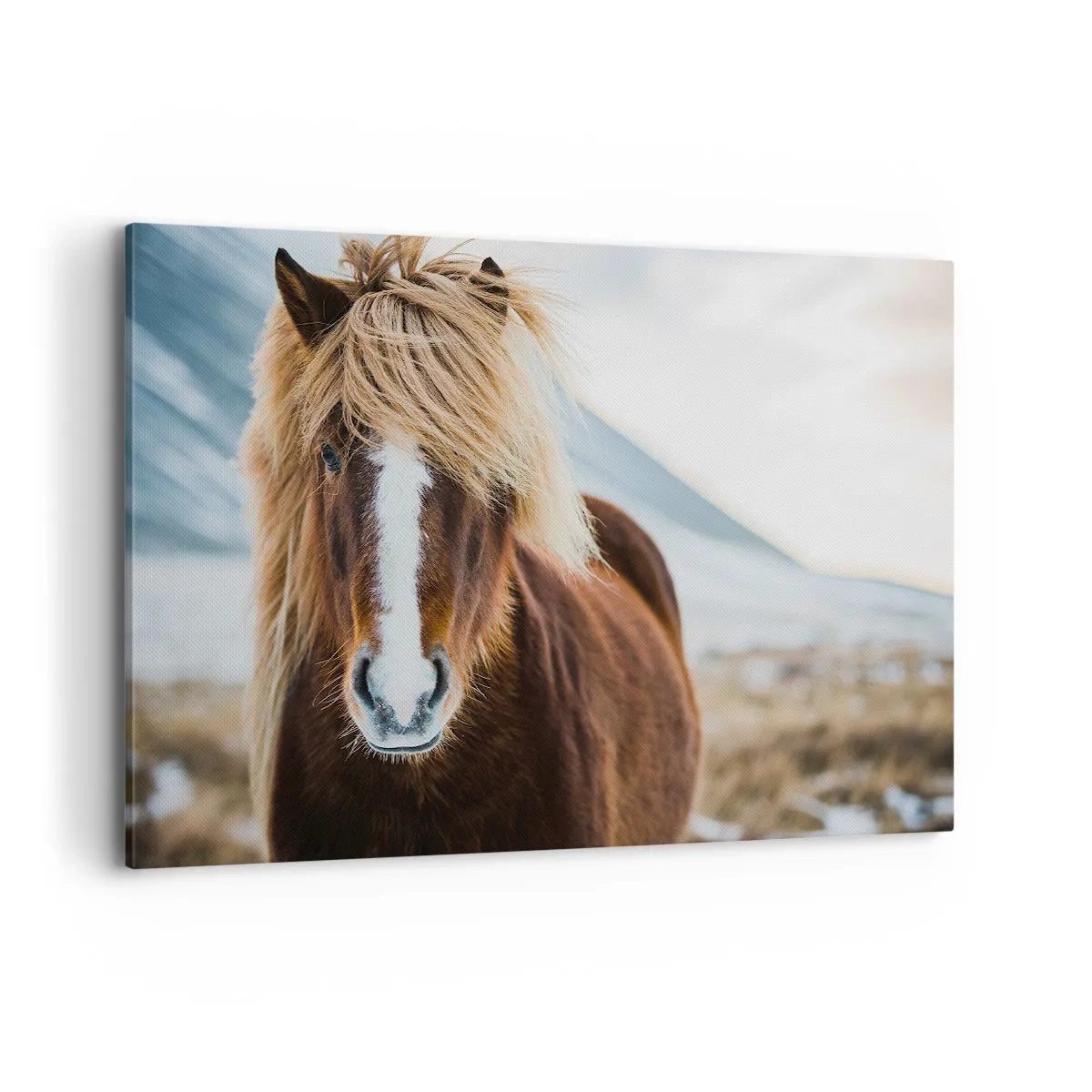 Quadro su tela - Stampe su Tela - Cavallo islandese contro un paesaggio montano - 120x80cm - Senti la libertà? - Decorazione murale moderna per soggiorno e camera da letto ARTTOR
