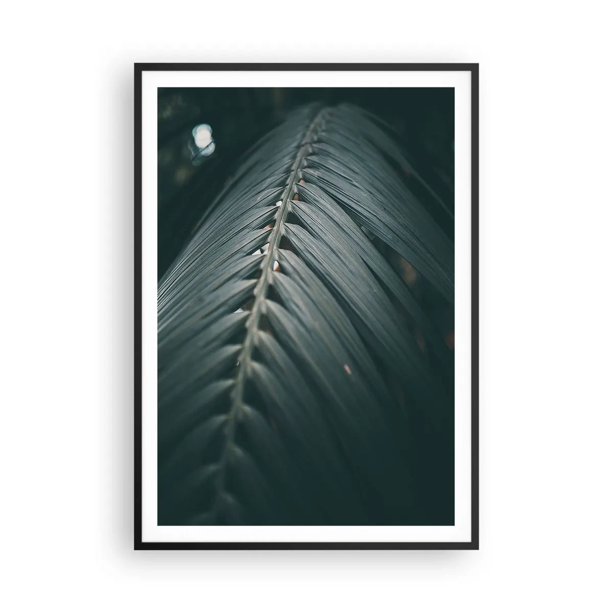 Poster in cornice nera - La precisione della natura - 70x100 cm