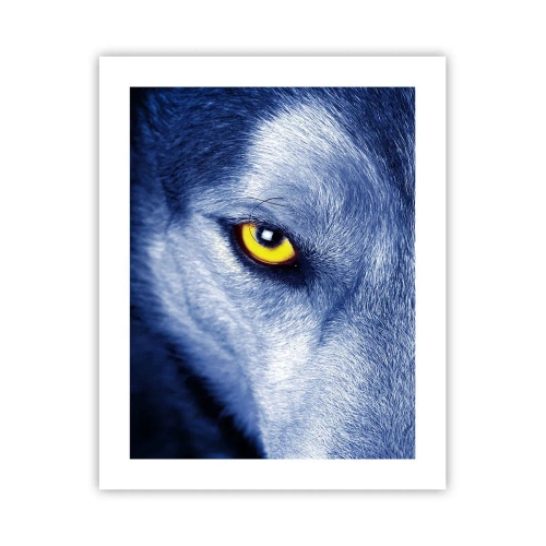 Poster - Sguardo ipnotico - 40x50 cm