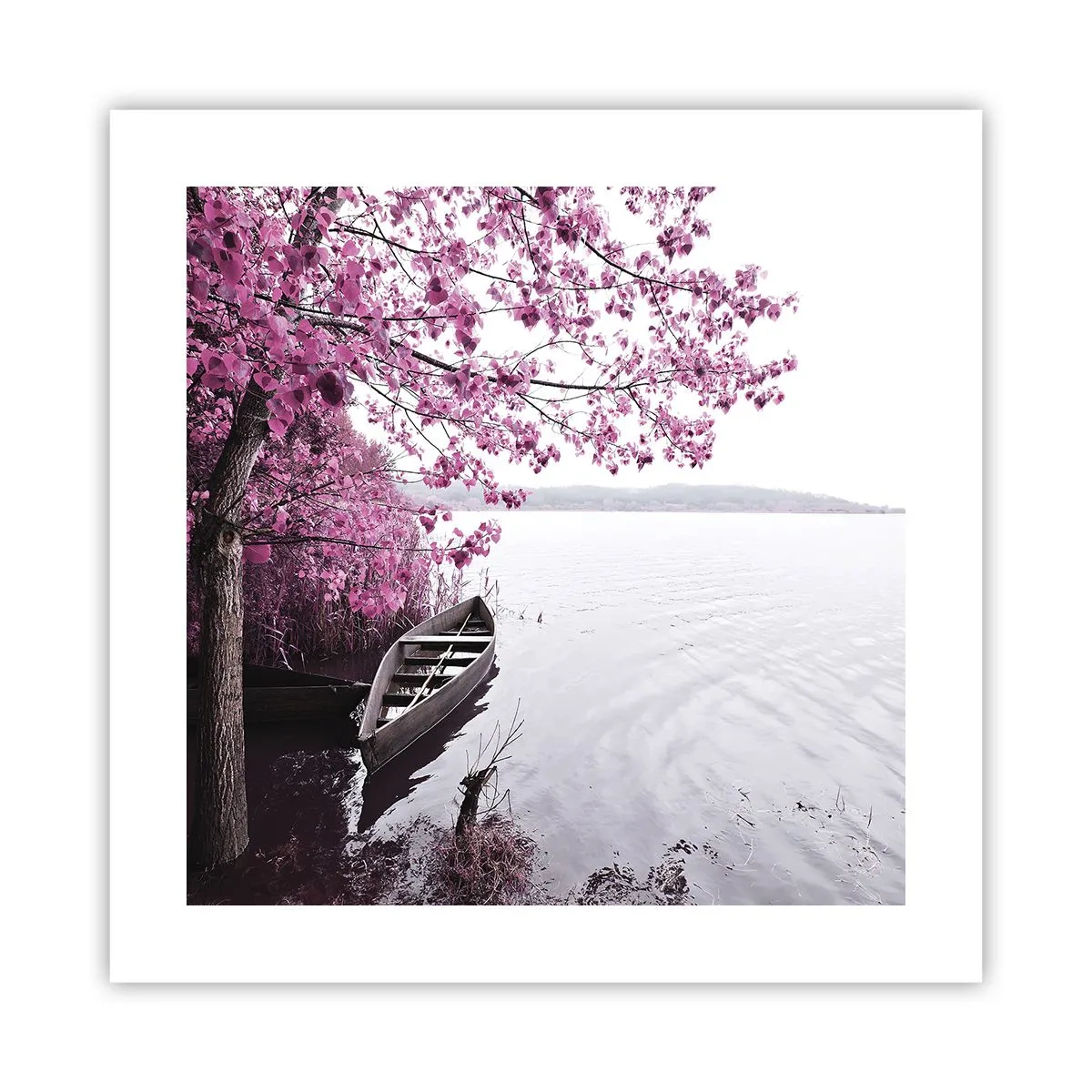 Poster - Nel silenzio rosa - 40x40 cm
