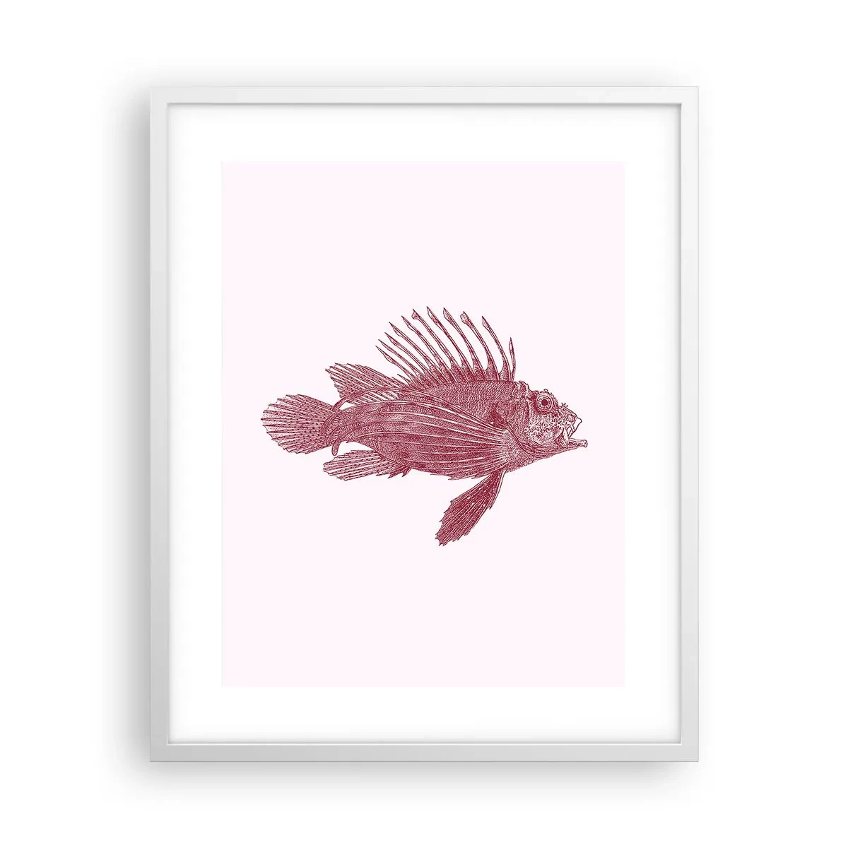 Poster in cornice bianca - Abitante di mari esotici - 40x50 cm