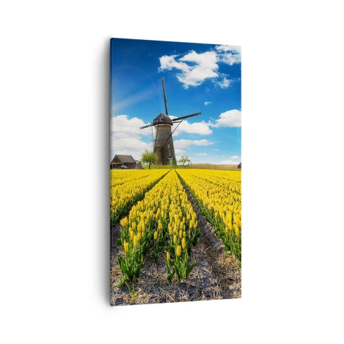 Quadro su tela - Stampe su Tela - Più olandesi di così non si può - 55x100 cm