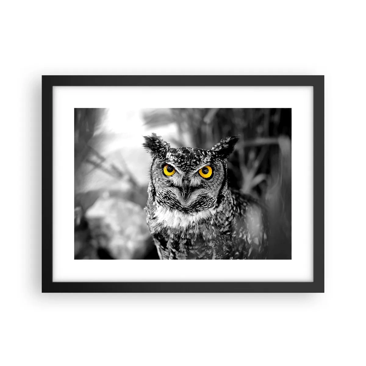 Poster in cornice nera - Non si può nascondere niente - 40x30 cm