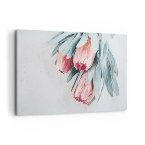 Quadro su tela - Stampe su Tela - Delicati fiori di protea rosa su uno sfondo chiaro - 120x80cm - Imbarazzati per la propria bellezza - Decorazione murale moderna per soggiorno e camera da letto ARTTOR