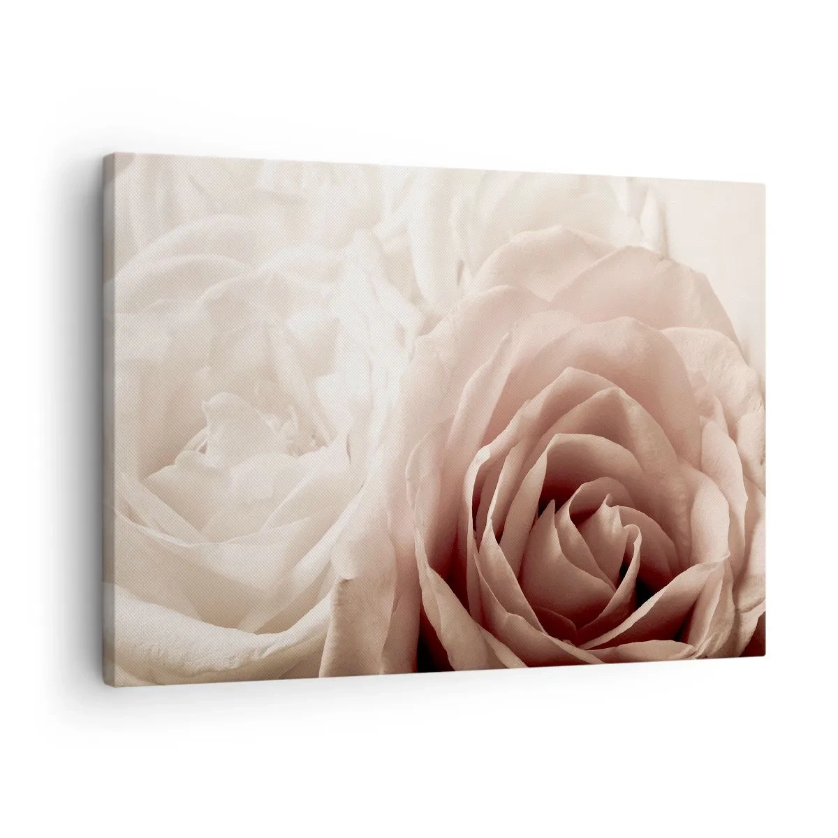 Quadro su tela - Stampe su Tela - Delicate rose in tonalità pastello del beige - 70x50cm - Nel cuore della rosa - Decorazione murale moderna per soggiorno e camera da letto ARTTOR