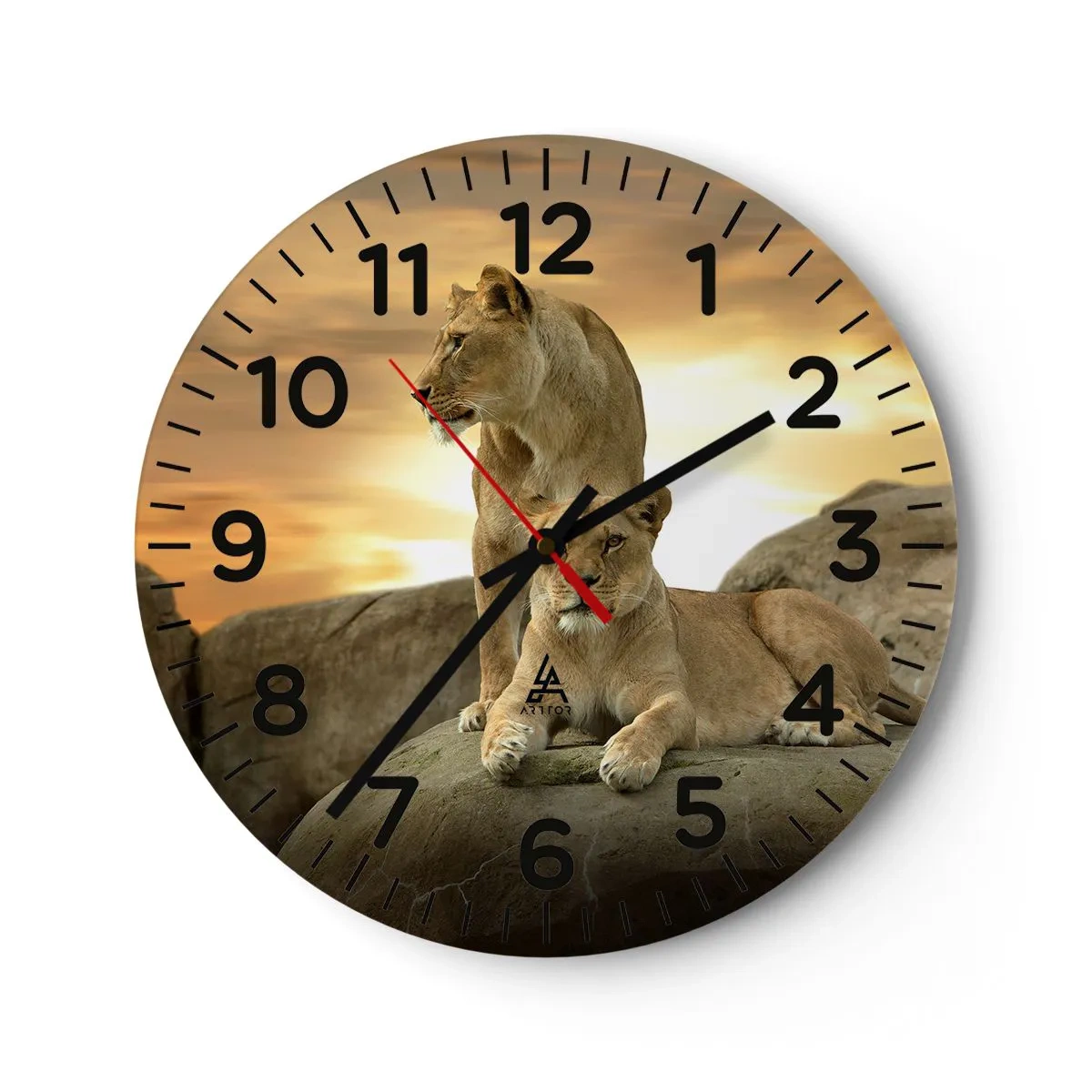 Orologio da parete - Orologio in Vetro - Maestà reale - 30x30 cm