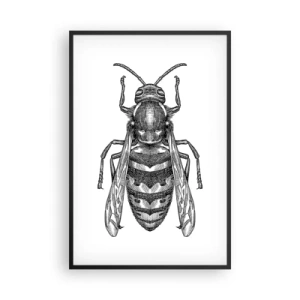 Poster in cornice nera - Dal pianeta degli insetti - 61x91 cm