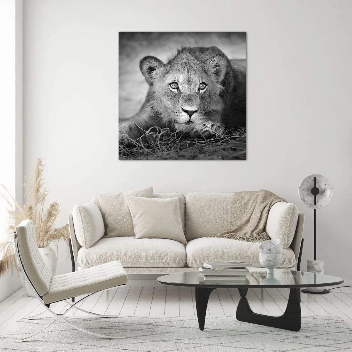 Quadro su vetro - Cucciolo reale - 40x40 cm