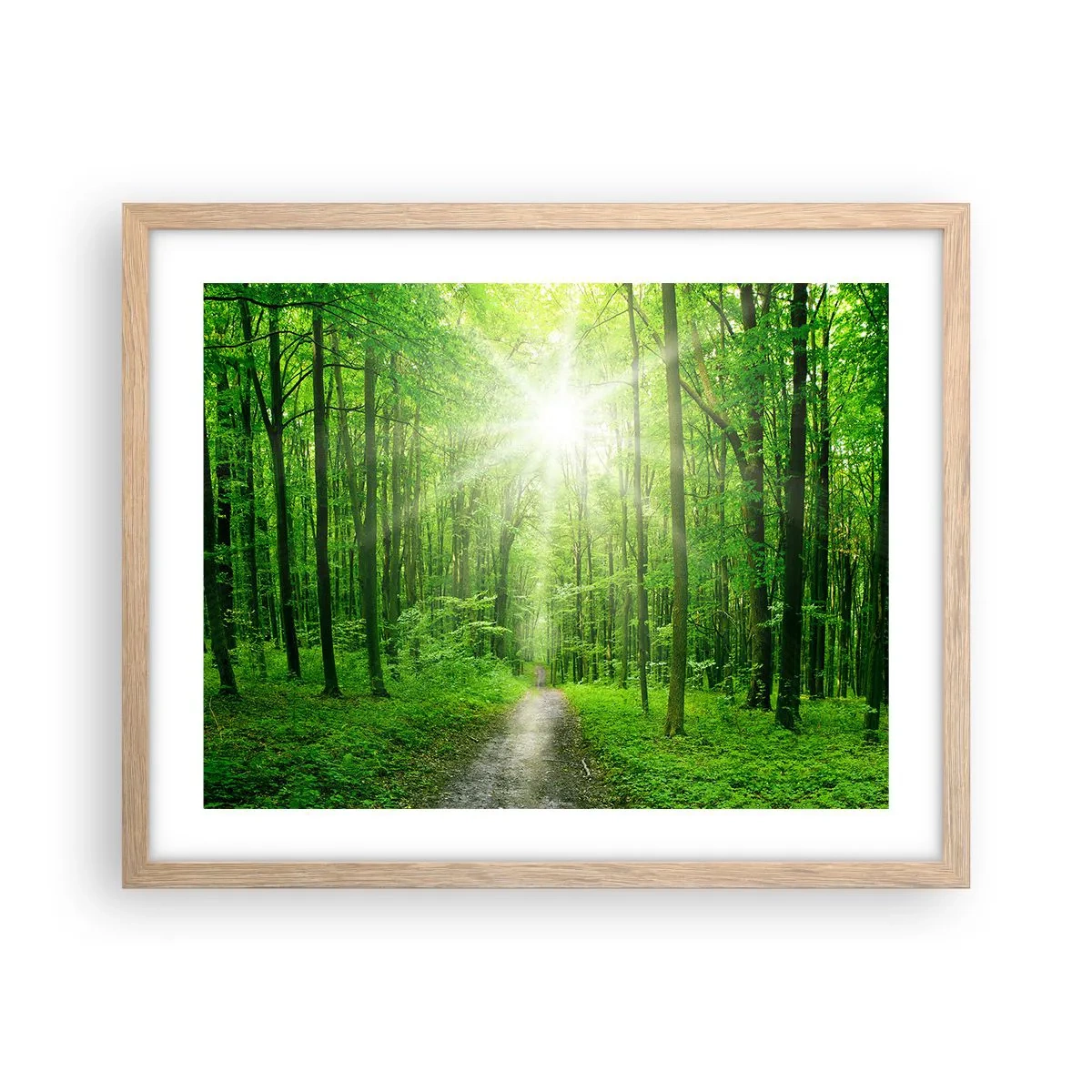 Poster in cornice rovere chiaro - Cattedrale verde - 50x40 cm