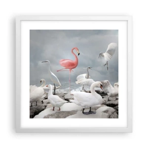 Poster in cornice bianca - Come sono arrivato qui? - 40x40 cm