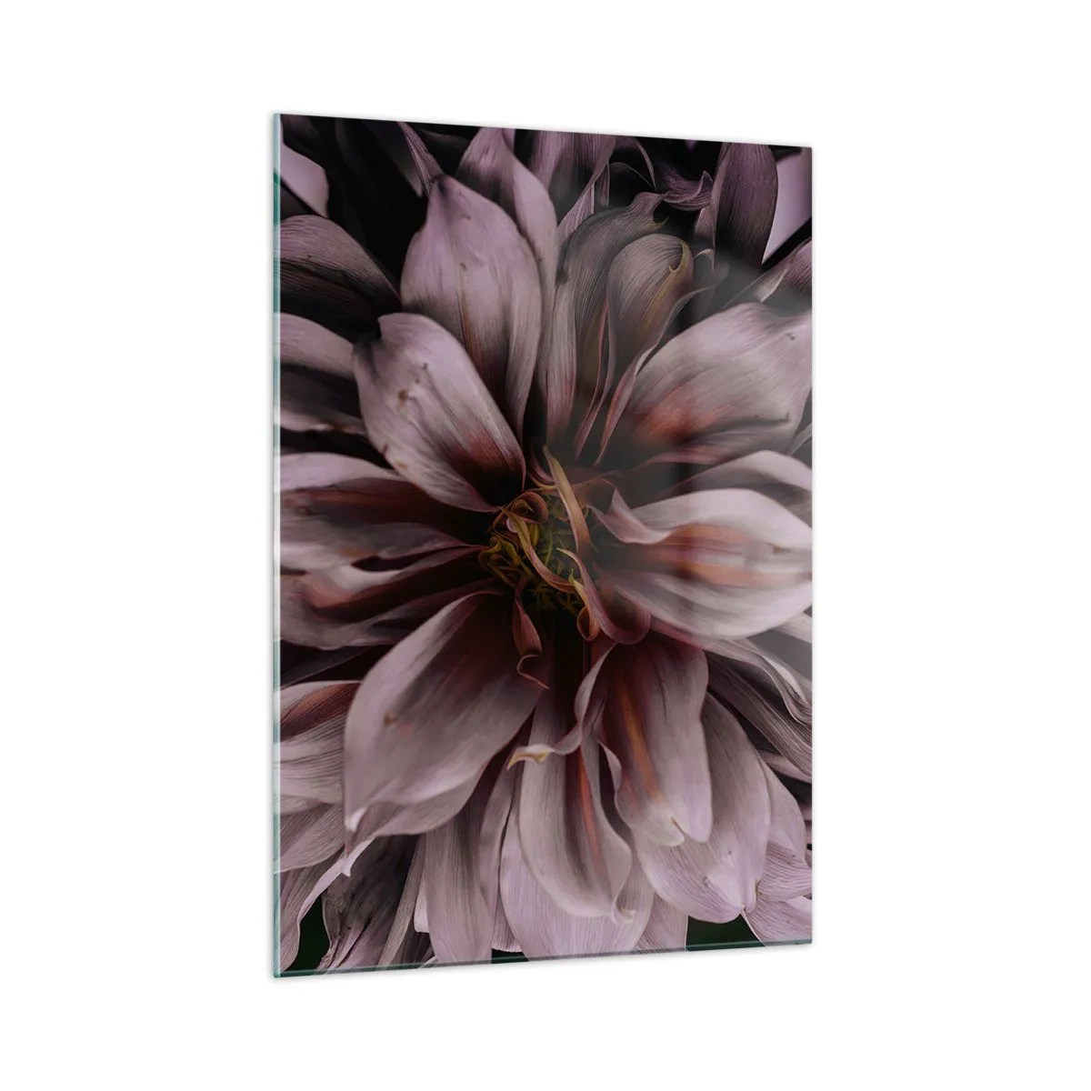 Quadro su vetro - Primo piano di un fiore scuro con petali viola e bordeaux - 50x70cm - Cuore d'aprile - Decorazione murale moderna per soggiorno e camera da letto ARTTOR