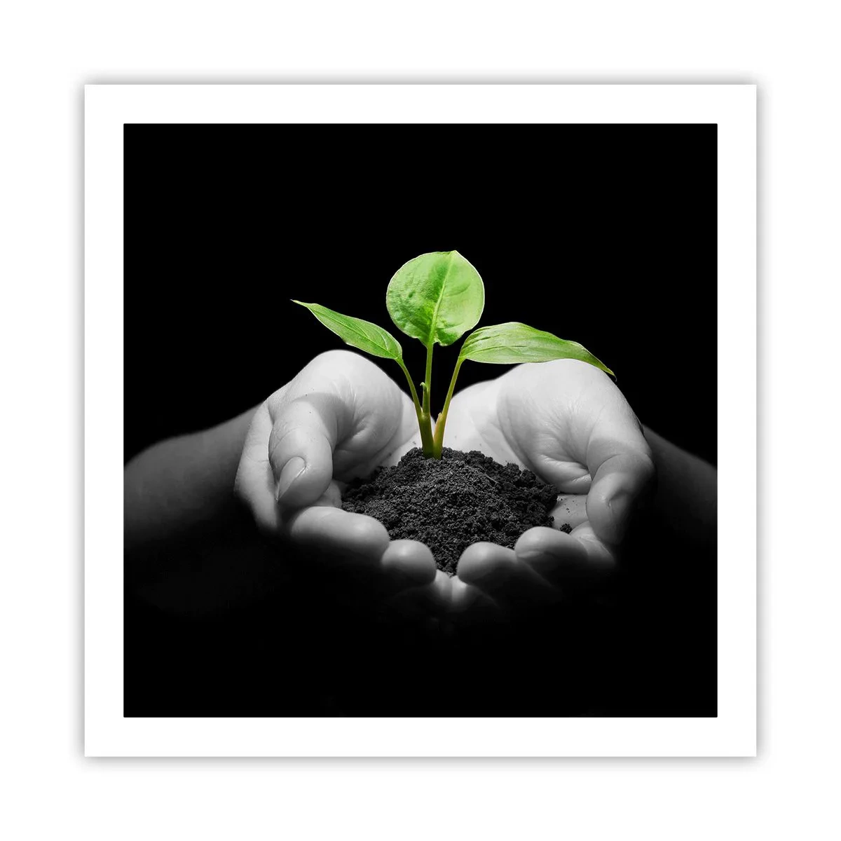 Poster - Amo la natura, la proteggo - 60x60 cm